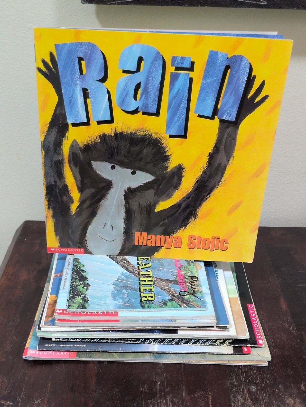 Scholastic Paperback Book Set of 12 Weather Themed Used Books